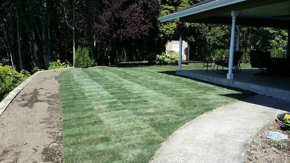 2021 Bermuda Sod Prices How Much Is A Pallet of Sod?